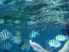 M_010.JPG